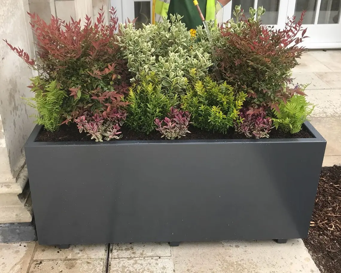 Star and Garter planter